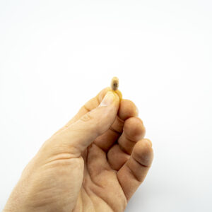 Spy invisible Earpiece for Exam Cheating
